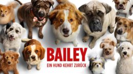 Bailey - Ein Hund kehrt zurück Kinofilm