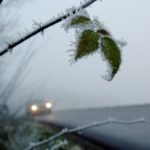 Bild von moni quayle auf Pixabay